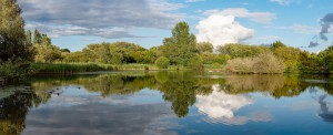 Lake_Panorama-1(180820)